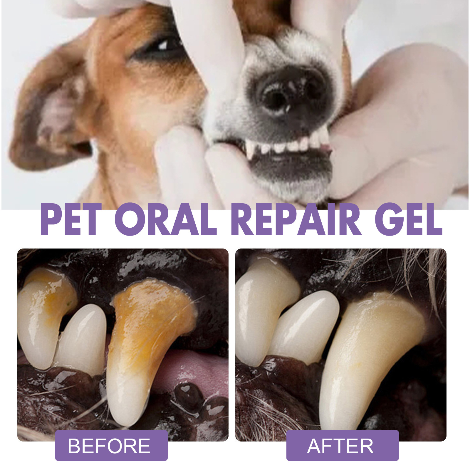 Huisdier Orale Reparatie Gel P - Teeth Whitening Foam recensie en prijs