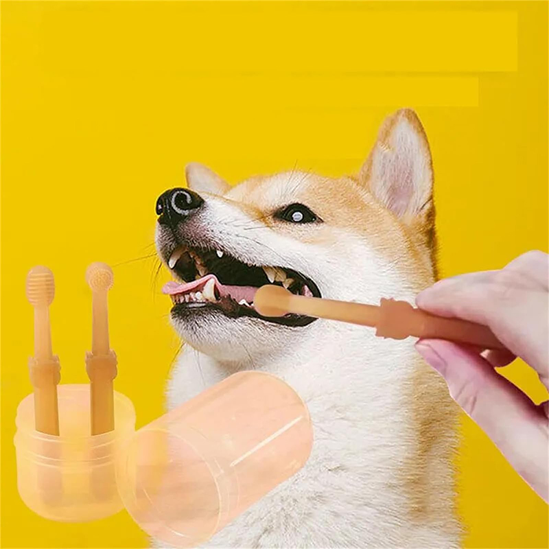 Tanden bleken Hond Kat Silicon - Teeth Whitening Toothpaste recensie en prijs